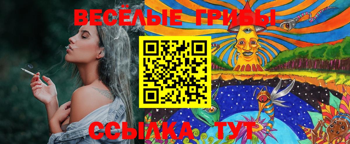 Псилоцибиновые грибы мухоморы Балашиха